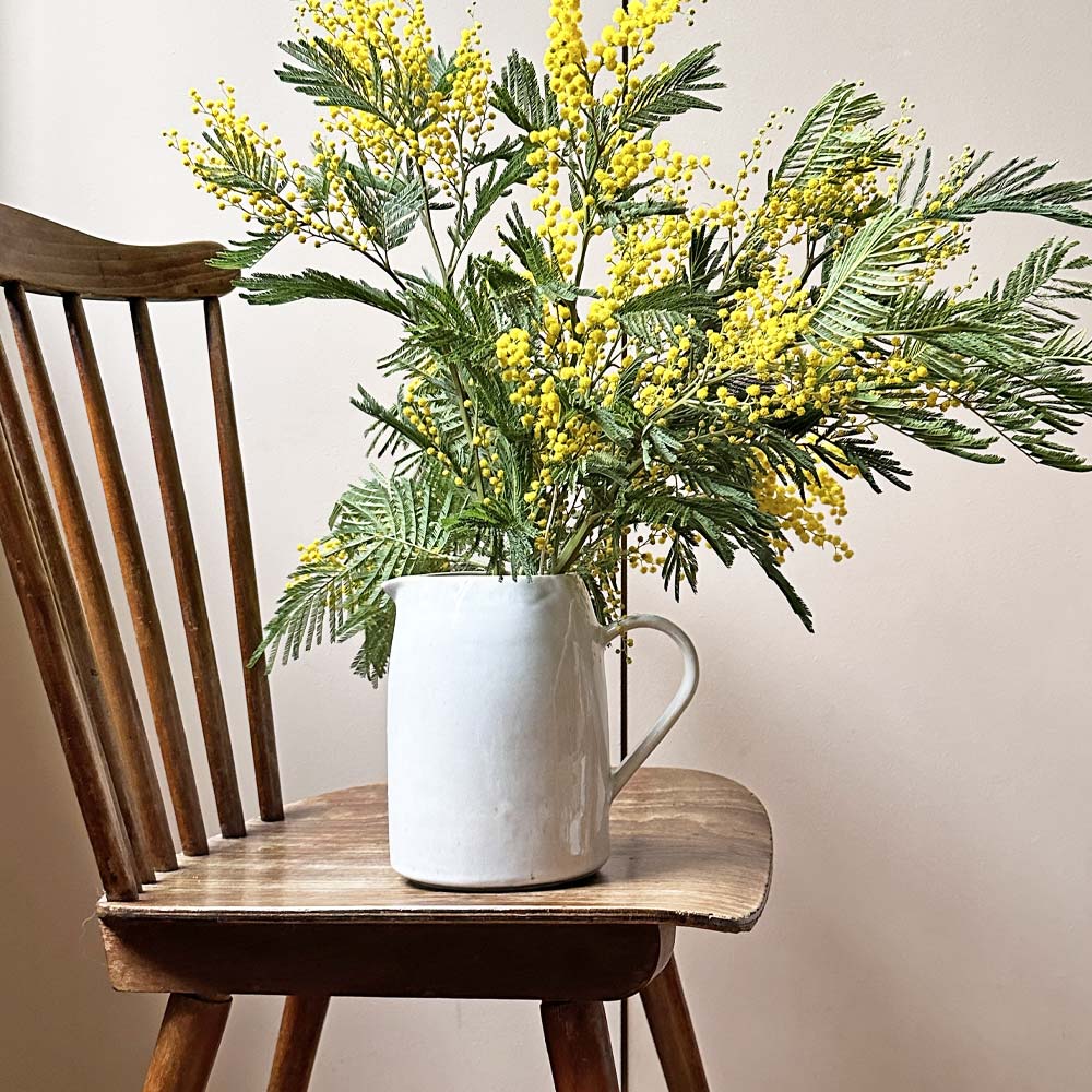 Pichet rond | Blanc audacieux - Image 4