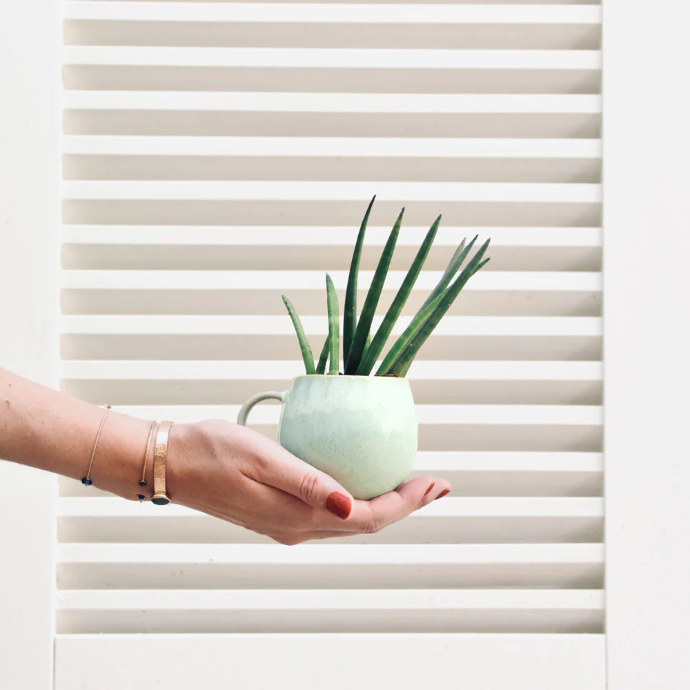 Mug moyen | Vert audacieux - Image 4